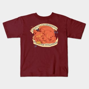 Never Tickle a Sleeping Dragon Kids T-Shirt